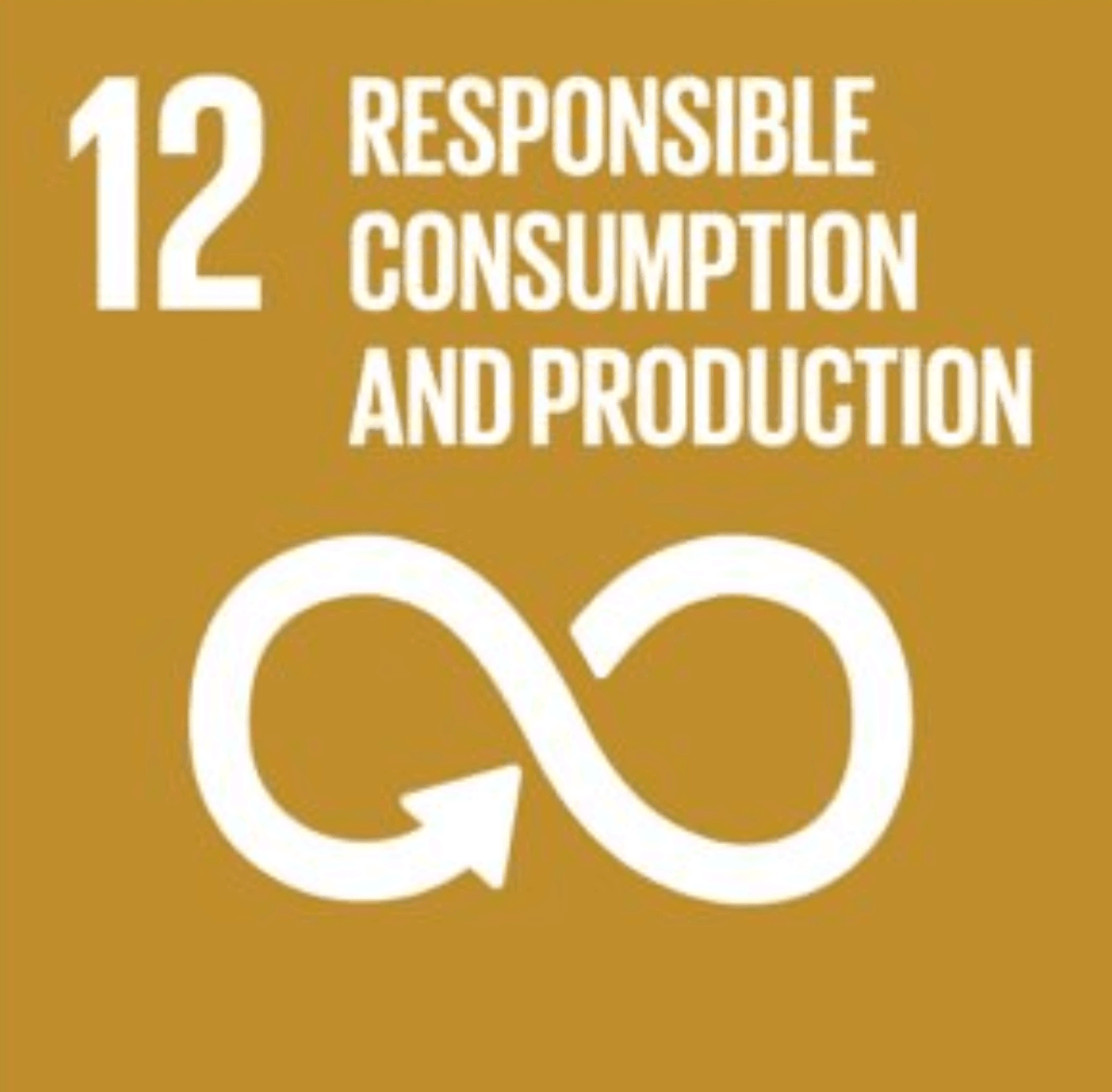 UN Sustainable Development Goal 12: Responsible Consumption and Production