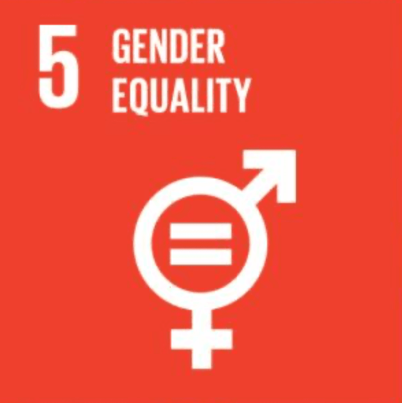 UN Sustainable Development Goal 5: Gender Equality