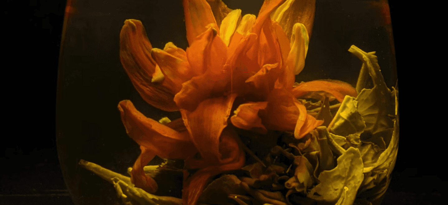 Tea Collection Banner